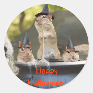 Pegatina Redonda Pegatinas de Witchy Chipmunks