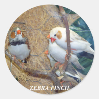 Pegatina Redonda Pegatinas de ZEBRA FINCH