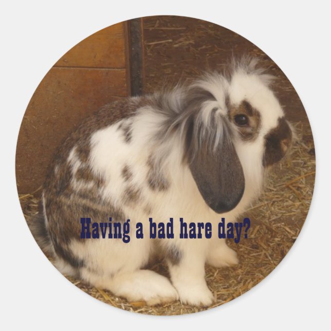 Pegatina Redonda Pegatinas del Día de la Rasa Mala (Anverso)