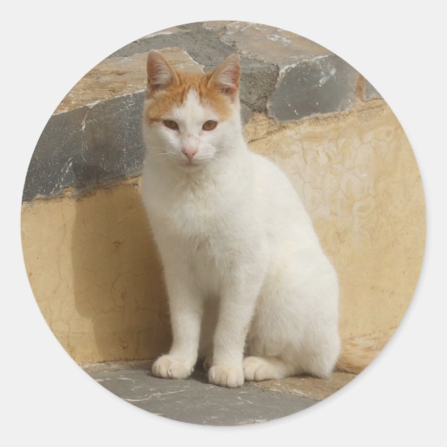 Pegatina Redonda Pegatinas del gato (Anverso)