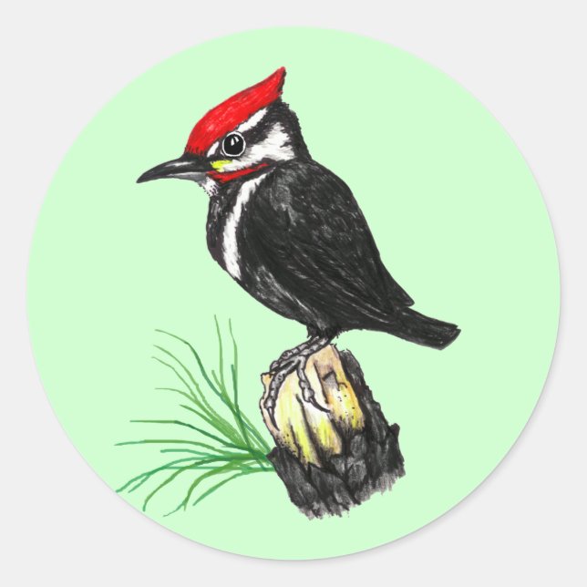Pegatina Redonda Pegatinas del Pájaro Lágrimo Pilado Bebé (Anverso)