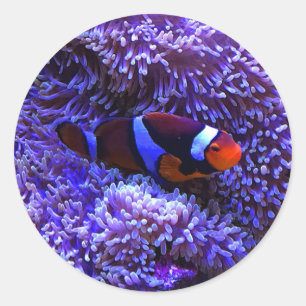 Pegatina Redonda Pegatinas del pez globo #2