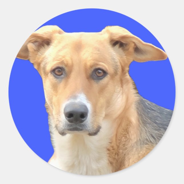 Pegatina Redonda Pegatinas Doggy Face (Anverso)