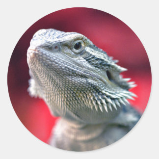 Pegatina Redonda Pegatinas Dragon Head