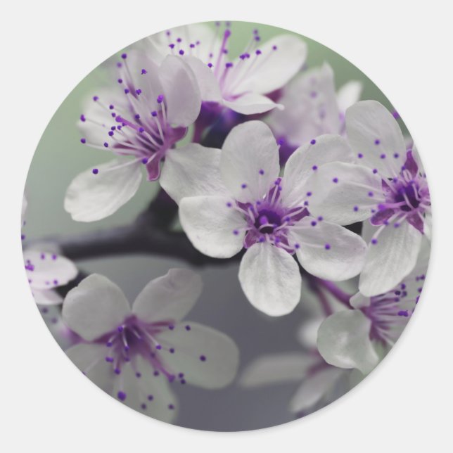 Pegatina Redonda pegatinas en flor (Anverso)