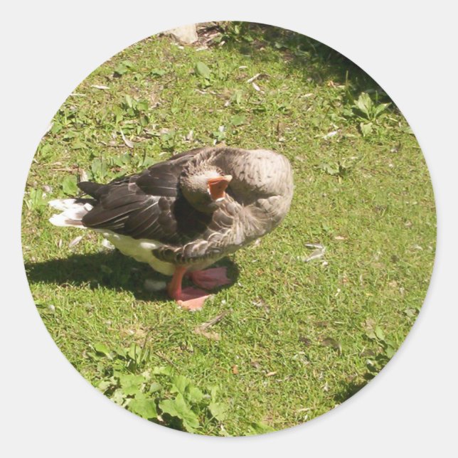 Pegatina Redonda Pegatinas enojados de Goose (Anverso)