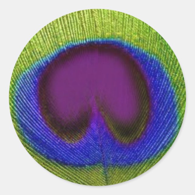 Pegatina Redonda Pegatinas/focas de plumas de pavo real azul púrpur (Anverso)