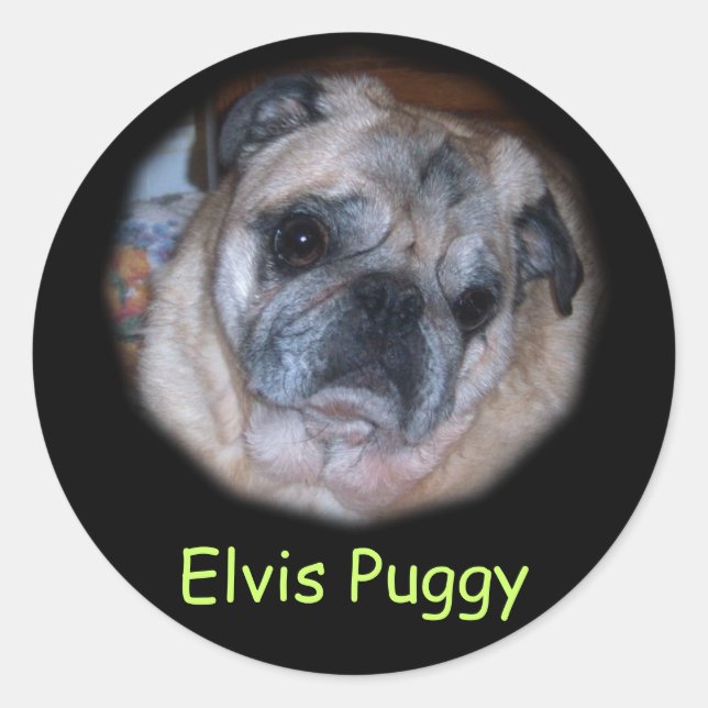 Pegatina Redonda Pegatinas fotográficos personalizados personalizad (Anverso)