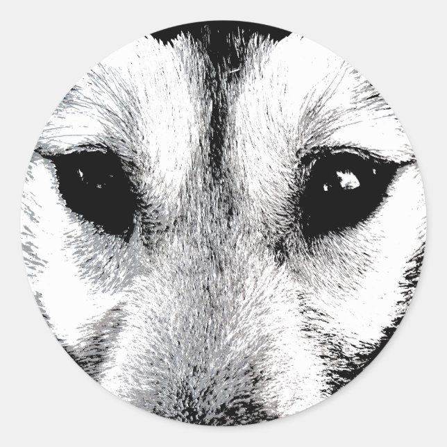 Pegatina Redonda Pegatinas Husky Pegatinas del grupo Siberian Husky (Anverso)