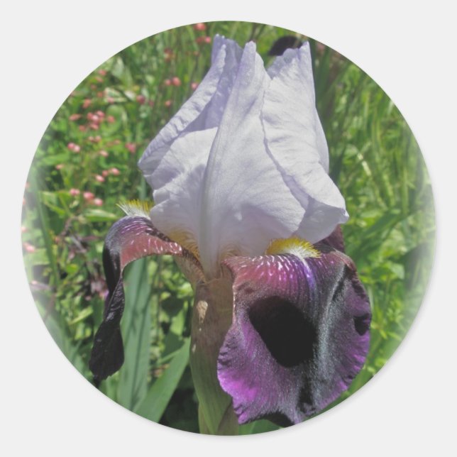 Pegatina Redonda pegatinas iris (Anverso)