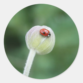 Pegatina Redonda Pegatinas Lady Bird