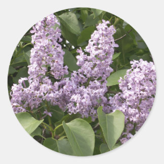 Pegatina Redonda Pegatinas Lilac
