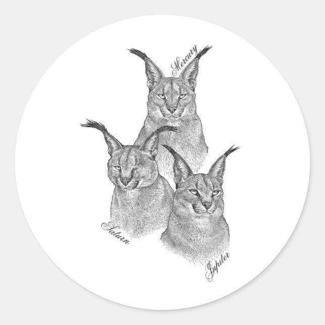 Pegatina Redonda Pegatinas - Los planetas (Anverso)