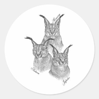 Pegatina Redonda Pegatinas - Los planetas