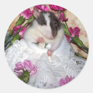 Pegatina Redonda Pegatinas mascota Rat Bride Trudy