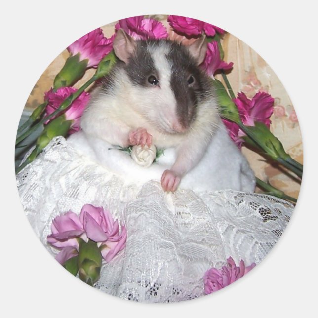 Pegatina Redonda Pegatinas mascota Rat Bride Trudy (Anverso)