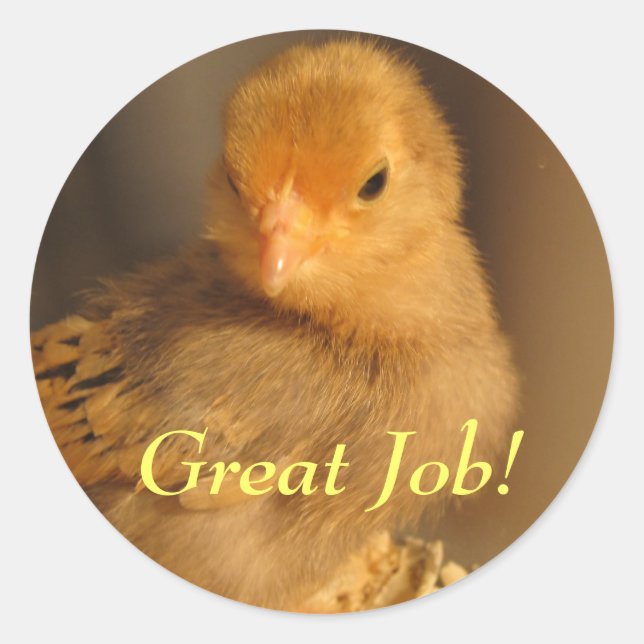 Pegatina Redonda Pegatinas - Naranja Chick (Anverso)