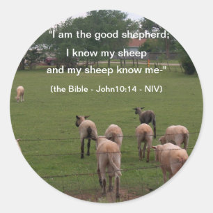 Pegatina Redonda Pegatinas/ovejas