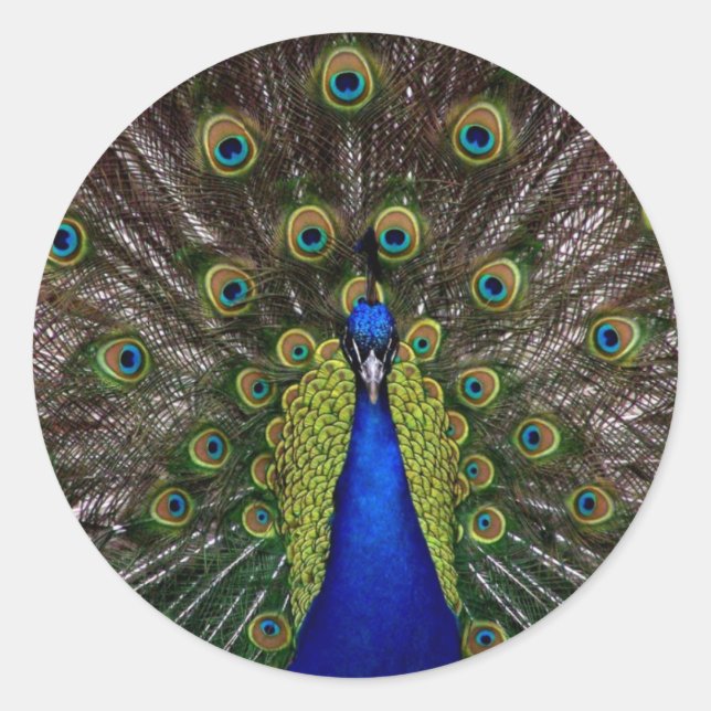 Pegatina Redonda Pegatinas Peacock multicolores (Anverso)