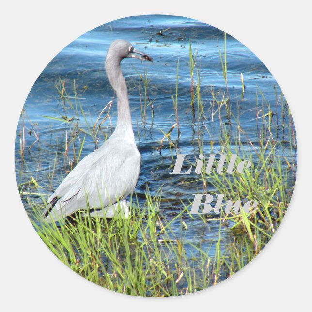 Pegatina Redonda Pegatinas, Pequeño Azul (Anverso)