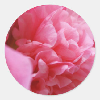 Pegatina Redonda Pegatinas Pinkalicious