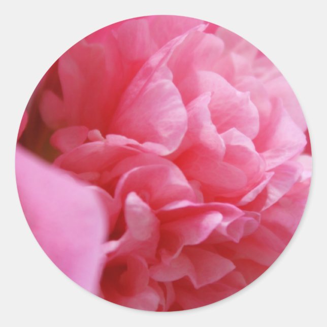 Pegatina Redonda Pegatinas Pinkalicious (Anverso)