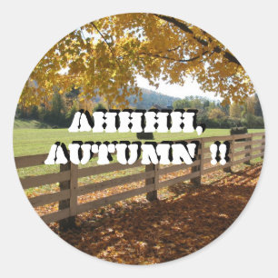 Pegatina Redonda Pegatinas redondos