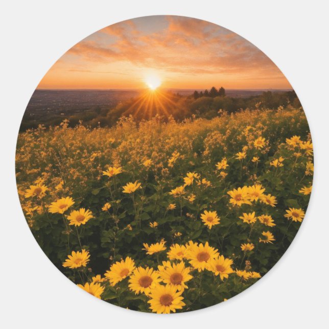 Pegatina Redonda Pegatinas redondos clásicos (Anverso)