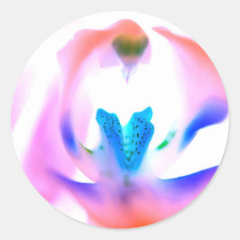 Pegatina Redonda Pegatinas redondos clásicos de orquídeas rosas