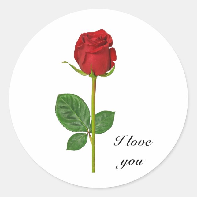 Pegatina Redonda Pegatinas redondos con rosa (Anverso)