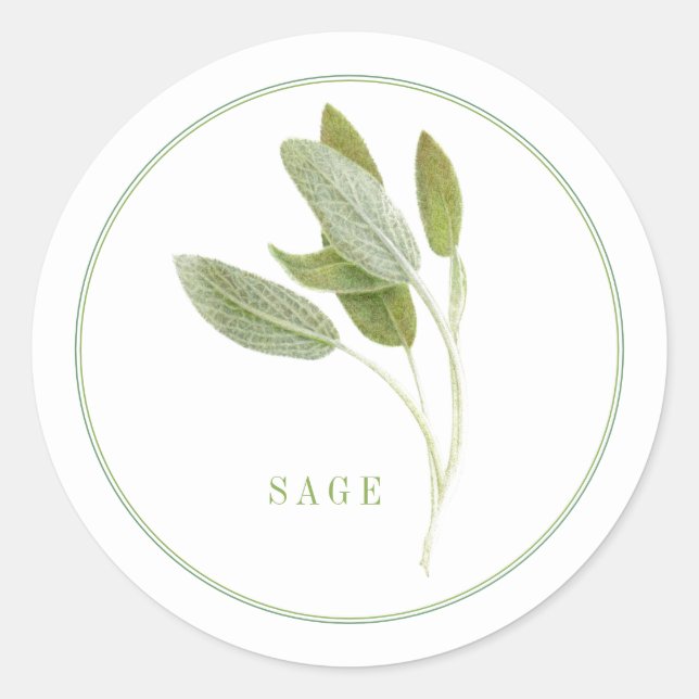Pegatina Redonda PEGATINAS redondos pequeños FRESH SAGE (Anverso)