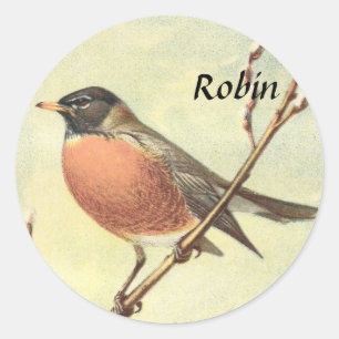 Pegatina Redonda Pegatinas Robin de época
