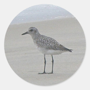Pegatina Redonda Pegatinas Sandpiper