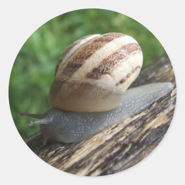 Pegatina Redonda Pegatinas Snowden (Anverso)