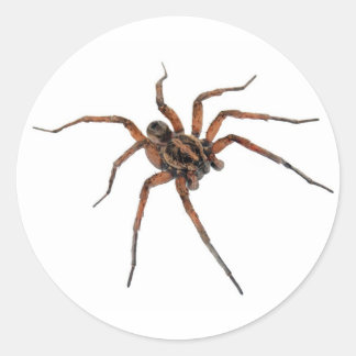 Pegatina Redonda Pegatinas Spider