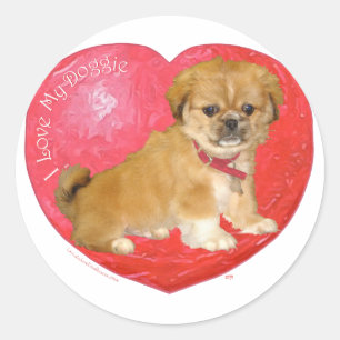 Pegatina Redonda Pekingese / Shih Tzu Mix Día de San Valentín