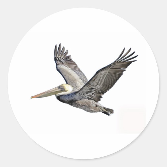 Pegatina Redonda Pelican Clear (Anverso)