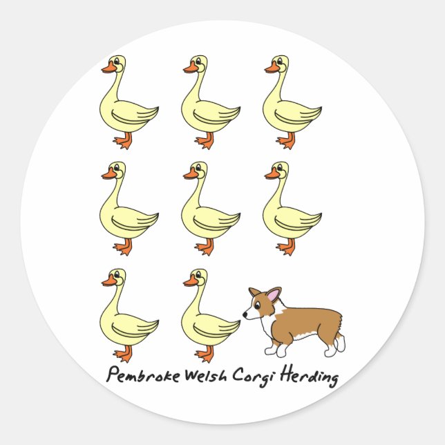 Pegatina Redonda Pembroke Welsh Corgi Herding Ducks (Anverso)