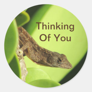 Pegatina Redonda Pensando En Ti Cute Reptile Gecko Amistad