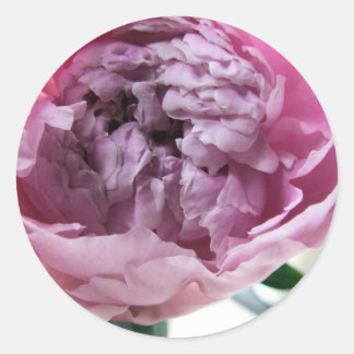 Pegatina Redonda Peony