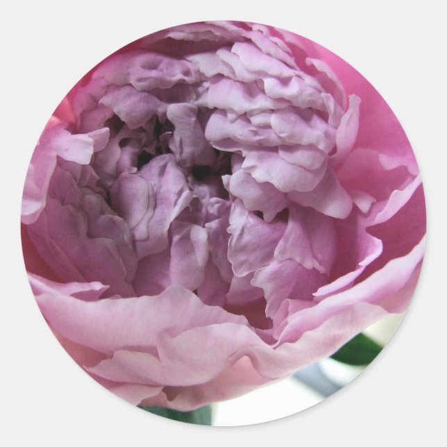 Pegatina Redonda Peony (Anverso)