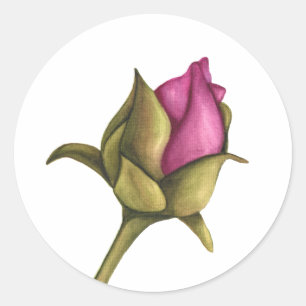 Pegatina Redonda peony bud