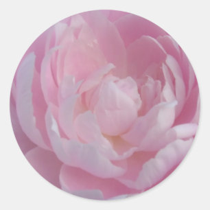 Pegatina Redonda Peony Pink Light Wedding Stickers Peonies