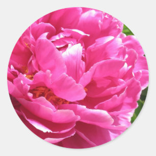 Pegatina Redonda Peony Prácticamente Perfecto