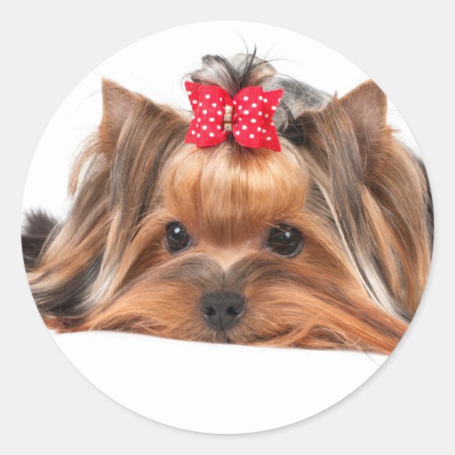 Pegatina Redonda Pequeña belleza (Anverso)