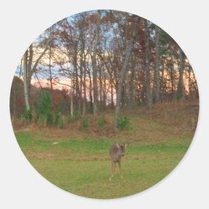 Pegatina Redonda Pequeño ciervo y un atardecer rosado