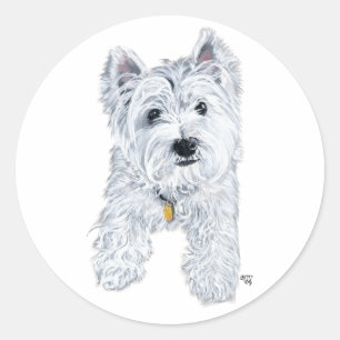 Pegatina Redonda Pequeño Westie curioso