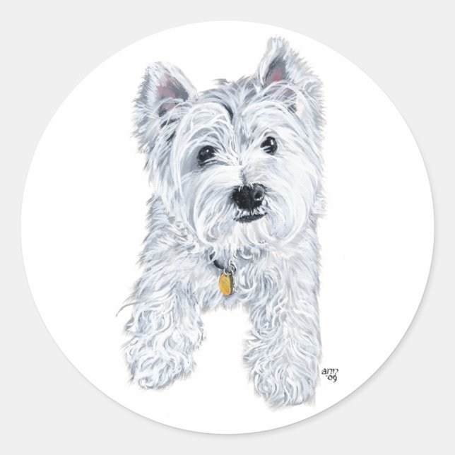 Pegatina Redonda Pequeño Westie curioso (Anverso)