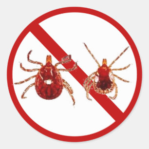 Pegatina Redonda Pequeños Pegatinas, Lyme Disease Tick (Blanco)