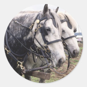 Pegatina Redonda Percheron Tandem